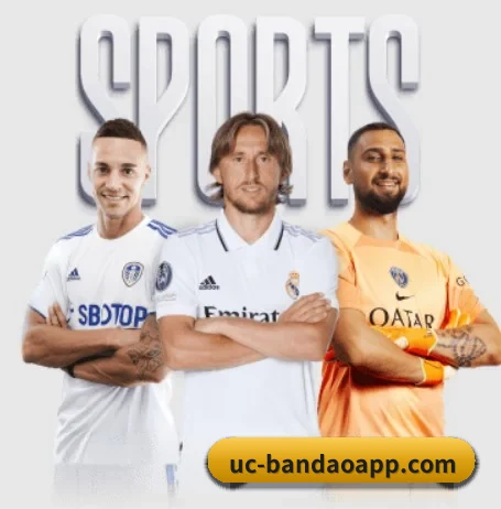 了解平台 - 体育资讯内容服务 - BandaoSports