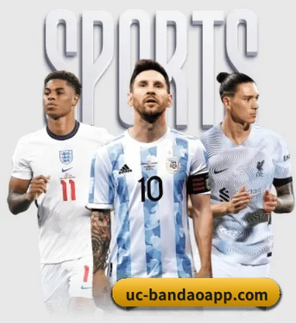 从赛前预告到赛后复盘 - BandaoSports