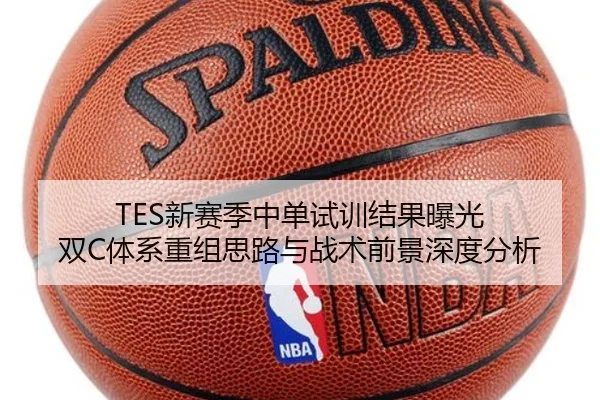 TES新赛季中单试训结果曝光 双C体系重组思路与战术前景深度分析